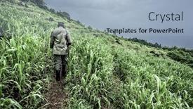  Presentation with old growth - Colorful slide deck enhanced with guide-in-old-growth-forest backdrop and a light blue colored foreground