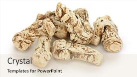  Presentation with traditional chinese medicine - Presentation featuring health care tcm - dang gui angelica sinensis traditional background and a lemonade colored foreground