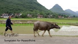  Presentation with farmland - 