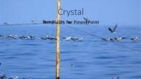  Presentation with sea - PPT theme having gulls-on-a-sea-background background and a light blue colored foreground