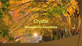  Presentation with maple - Audience pleasing presentation design consisting of gully - maple corridor near kawaguchi lake backdrop and a  colored foreground