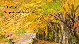  Presentation with maple - Audience pleasing presentation theme consisting of gully - maple corridor near kawaguchi lake backdrop and a gold colored foreground