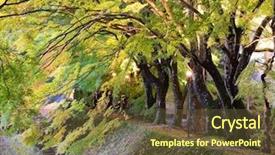  Presentation with maple leaf - Beautiful slide set featuring gera aerial view johanniskirche town church thuringia backdrop and a tawny brown colored foreground