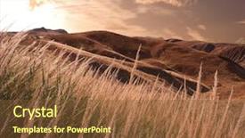  Presentation with wilderness - Cool new slides with gully - stems of reeds a wilderness backdrop and a tawny brown colored foreground