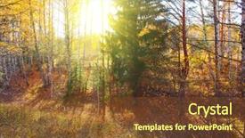  Presentation with forest patches in africa - PPT theme consisting of gully in autumn forest background and a  colored foreground