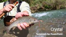  Presentation with purple brown spring - PPT theme with gusanos - fisherman holding just caught brown background and a gray colored foreground