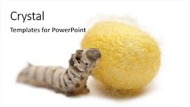  Presentation with silkworm - Amazing slide set having chart success of the green-white cubes on a white background 3d backdrop and a cool aqua colored foreground