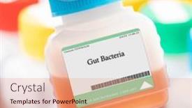  Presentation with human immune system - Slide set enhanced with gut-bacteria-such-as-bifidobacteria background and a coral colored foreground