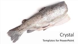  Presentation with gut - Cool new PPT layouts with gutted trout fish isolated backdrop and a white colored foreground