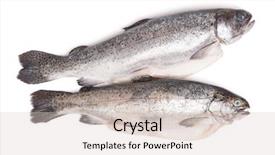  Presentation with gut - Amazing slide deck having gutted trout fishes isolated backdrop and a lemonade colored foreground