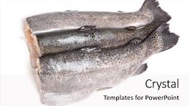  Presentation with gut - Audience pleasing theme consisting of gutted trout fishes isolated backdrop and a white colored foreground