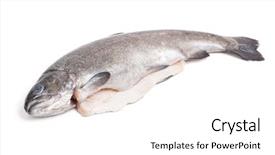  Presentation with gut - Audience pleasing slide deck consisting of gutted trout isolated on white backdrop and a  colored foreground