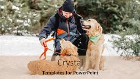  Presentation with pets - PPT theme having guy-owner-petting-golden-retriever background and a coral colored foreground