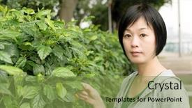  Presentation with green leaf - Amazing PPT theme having gymnast china - glamour of mature asian woman backdrop and a seafoam green colored foreground