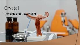  Presentation with uterus - Slides enhanced with gynecological-examination-kit-and-anatomical background and a light gray colored foreground
