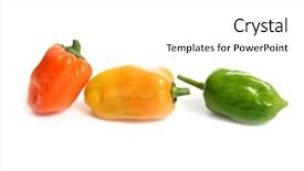  Presentation with capsicum - Audience pleasing slide deck consisting of habanero capsicum chili hottest pepper backdrop and a white colored foreground