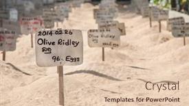  Presentation with hatchery - Presentation having habaraduwa-sri-lanka-march-11 background and a lemonade colored foreground