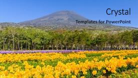  Presentation with bloom - Cool new slide deck with hachijojima island japan during the freesia flower bloom season backdrop and a teal colored foreground