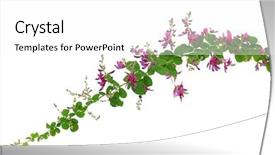  Presentation with black clover - Slide deck consisting of hagi isolated on white background background and a white colored foreground