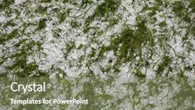  Presentation with weather storm - Colorful PPT layouts enhanced with hail - summer weather storm disaster backdrop and a violet colored foreground