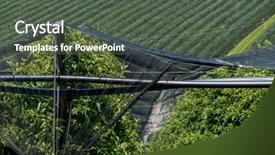  Presentation with hail - Presentation theme enhanced with hail nets to protect orchards background and a dark gray colored foreground