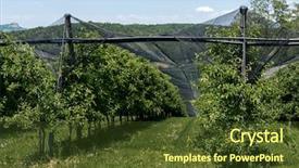  Presentation with hail - Amazing slide set having hail nets to protect orchards backdrop and a tawny brown colored foreground