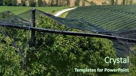  Presentation with hail - Cool new theme with hail nets to protect orchards backdrop and a tawny brown colored foreground