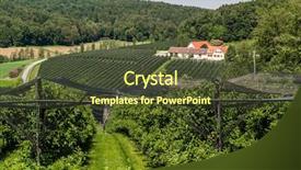  Presentation with hail - Amazing slide deck having hail nets to protect orchards backdrop and a tawny brown colored foreground