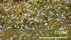  Presentation with hail - Slides enhanced with hail on the grass background and a tawny brown colored foreground