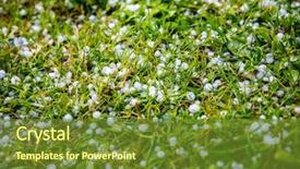  Presentation with storm damage - Slide set with hail on the grass background and a  colored foreground