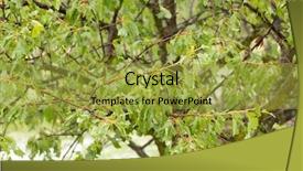  Presentation with hail - Amazing PPT layouts having hail storm make damaged backdrop and a gold colored foreground