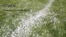  Presentation with hail - Slide set featuring hailstones covering backyard lawn background and a seafoam green colored foreground