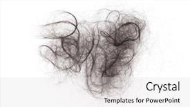  Presentation with hair - Audience pleasing presentation theme consisting of hair fall isolated on white backdrop and a light gray colored foreground