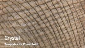  Presentation with elephant - Beautiful PPT layouts featuring background of elephant skin close backdrop and a coral colored foreground