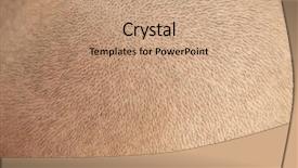  Presentation with hair loss - Beautiful slide deck featuring hair loss concept head backdrop and a coral colored foreground