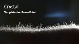  Presentation with human body - Colorful slides enhanced with hair on the human body backdrop and a black colored foreground