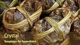  Presentation with crabs - Slide deck with hairy crabs close up background and a tawny brown colored foreground