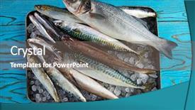 Presentation with fishes - Cool new slide deck with haking - fresh fishes mix hake sea backdrop and a gray colored foreground