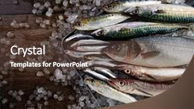  Presentation with fishes - Beautiful slide deck featuring haking - fresh fishes mix hake sea backdrop and a tawny brown colored foreground