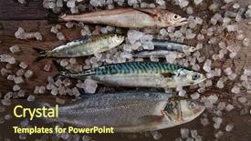  Presentation with fish at sea - Audience pleasing PPT theme consisting of haking - fresh fishes mix hake sea backdrop and a tawny brown colored foreground