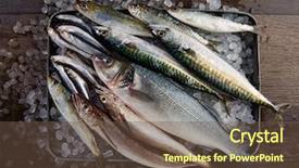  Presentation with fishes - Theme with haking - fresh fishes mix hake seabass background and a tawny brown colored foreground