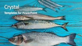  Presentation with fishes - Beautiful slides featuring haking - fresh fishes mix hake seabass backdrop and a teal colored foreground