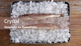  Presentation with frozen ice cold fish - Slide set with haking - hake fish on ice tray background and a coral colored foreground