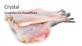  Presentation with ready - Amazing presentation having haking - some open raw hakes ready backdrop and a white colored foreground