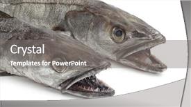  Presentation with thinking heads - Presentation theme consisting of traffic lights in paris background and a  colored foreground.