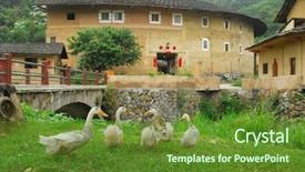  Presentation with history - Presentation theme enhanced with hakka has a long history background and a tawny brown colored foreground