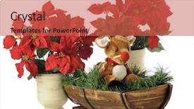  Presentation with nose - Colorful slide deck enhanced with half-barrel among potted poinsettia backdrop and a red colored foreground