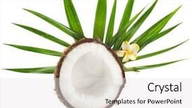  Presentation with palm leaves - Colorful presentation design enhanced with half coconut with palm leaves backdrop and a white colored foreground