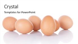  Presentation with chicken - PPT theme with half dozen brown chicken eggs background and a white colored foreground