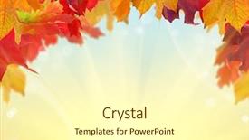  Presentation with maple leaves - Cool new presentation theme with half frame on bright background backdrop and a  colored foreground